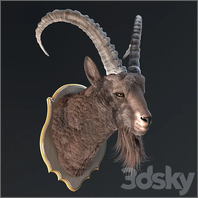 Siberian ibex 3ds Max