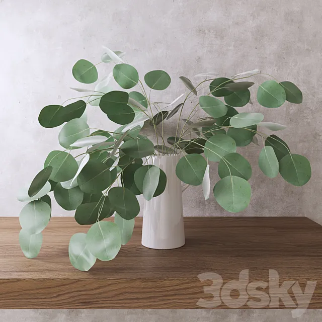 Silver Dollar Eucalyptus 3DSMax File