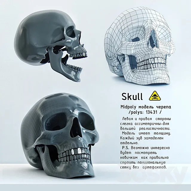 Skull 3DSMax File