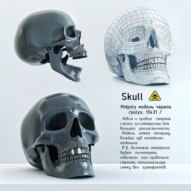 Skull 3dsMax Model