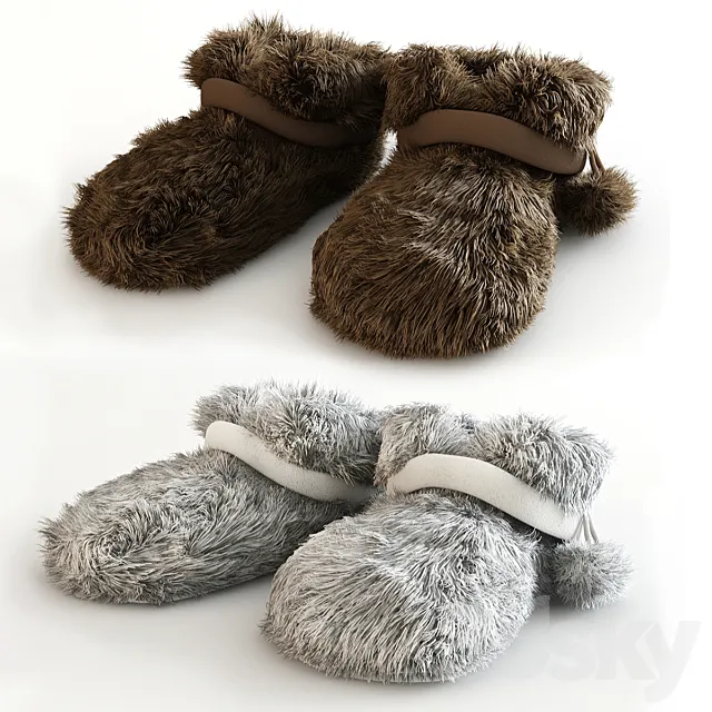 Slippers 3DS Max Model