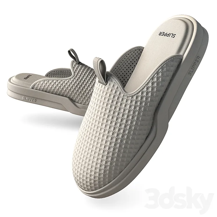Slippers 3DS Max Model