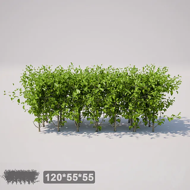 Small square bush 3DS Max Model