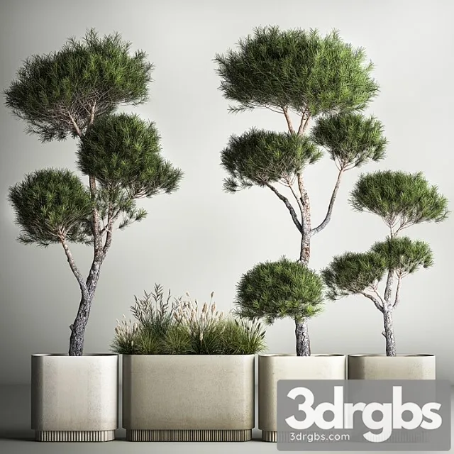 Small Trees in Pots Pine Topiary Field Flowers Bush Kovil Grass Collection Plants 1177 3dsmax Download