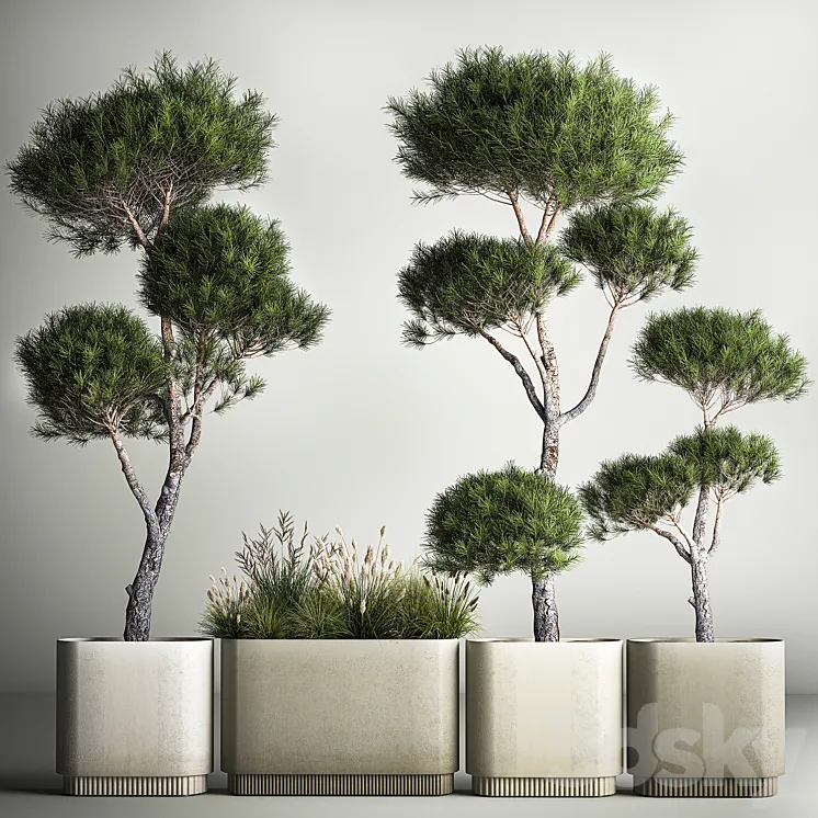 Small trees in pots pine topiary wildflowers bush feather grass grass. Plant collection 1177. 3DS Max
