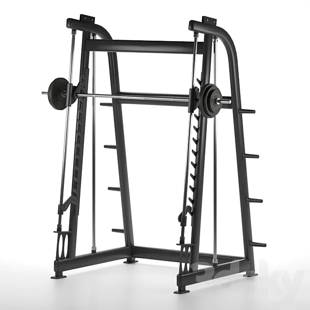 Smith Machine Gym Equipment 3ds Max