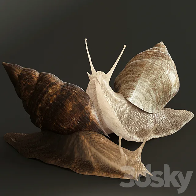 Snails 3DSMax File