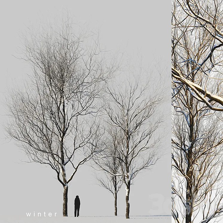 snow-covered trees 3DS Max