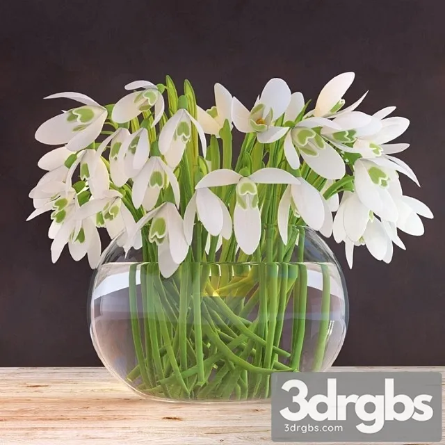 Snowdrops In A Vase 1 3dsmax Download