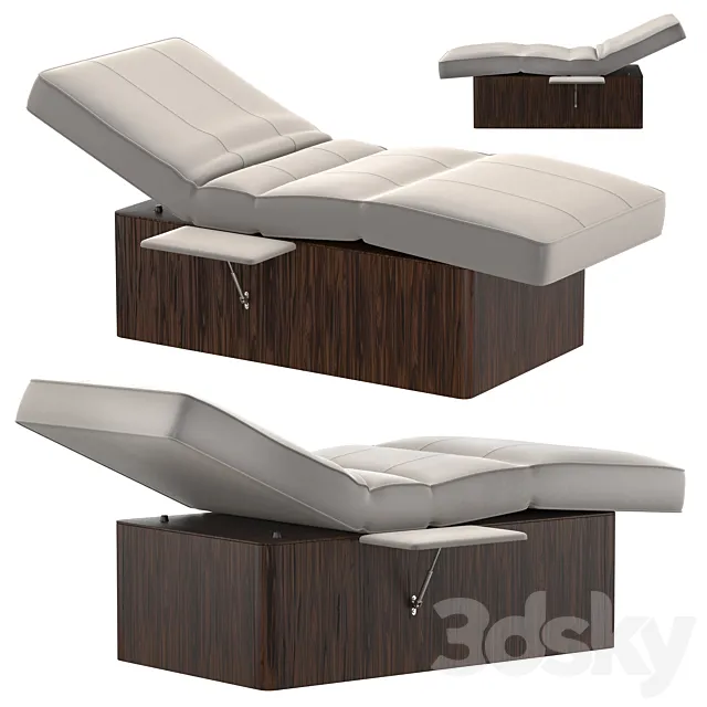 Somil Electric Spa Relaxation Lounger 3ds Max