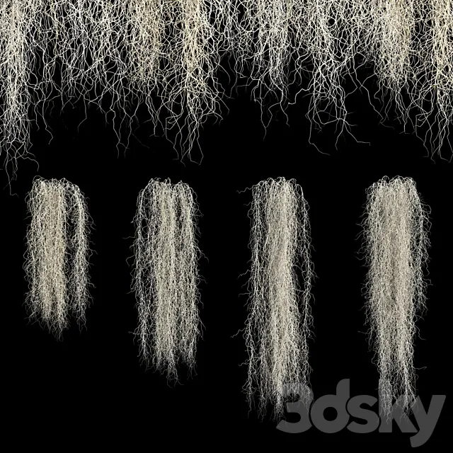 Spanish moss 3ds Max