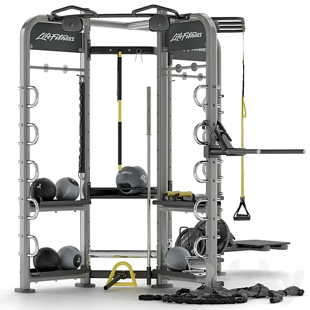 Sport trainer Life Fitness Synrgy 360 3DS Max Model