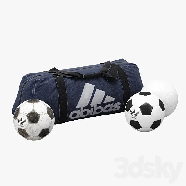 Sports Bag And Soccer Balls 3ds Max