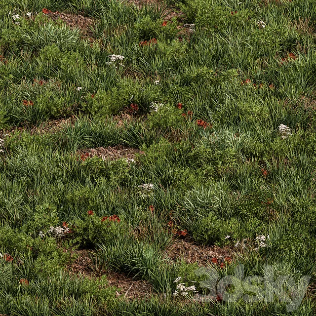 Spring Grass – Grass Set 07 3ds Max