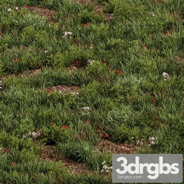 Spring grass – grass set 07