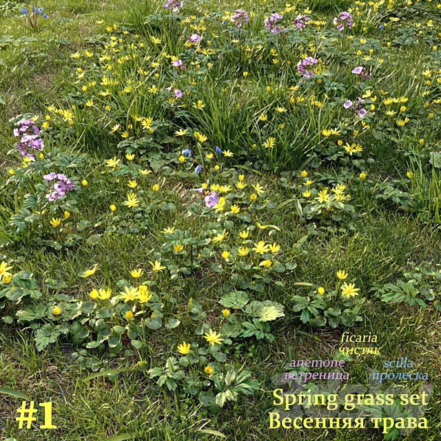 Spring grass set #1 3ds Max