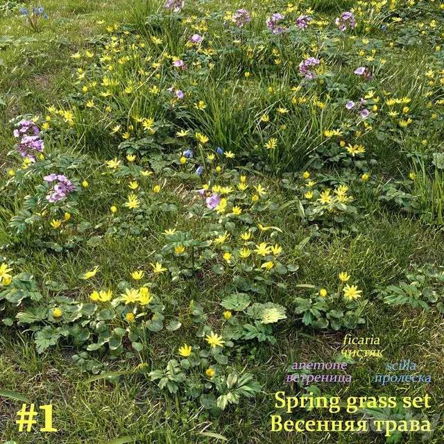 Spring grass set #1 3dsMax Model