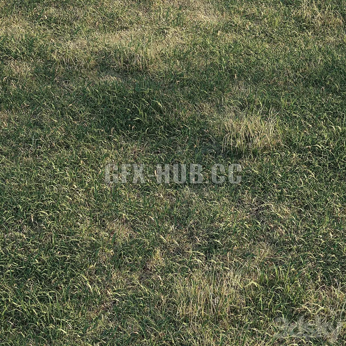 Spring meadow  grass 3dsMax Model