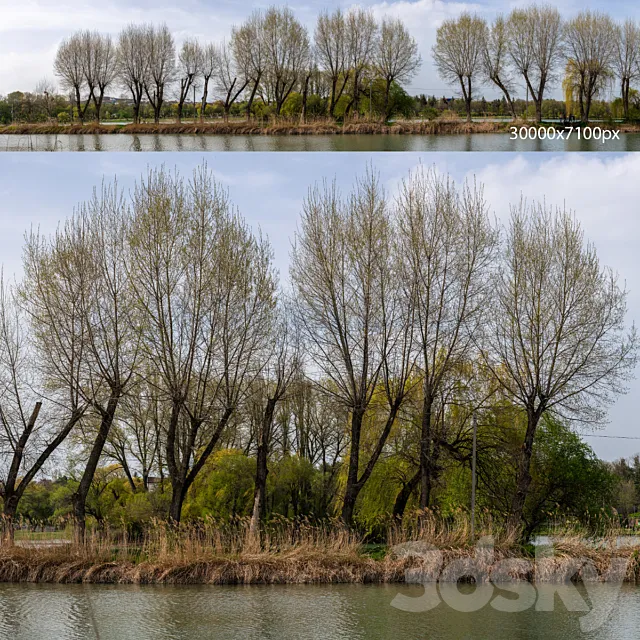 Spring panorama from the park with a lake and verdant trees. 30k 3DSMax File