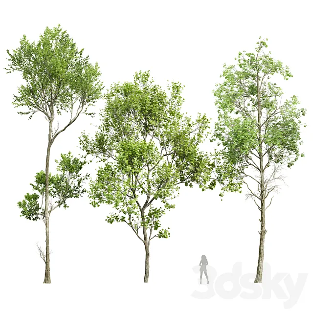 spring trees 2 3ds Max