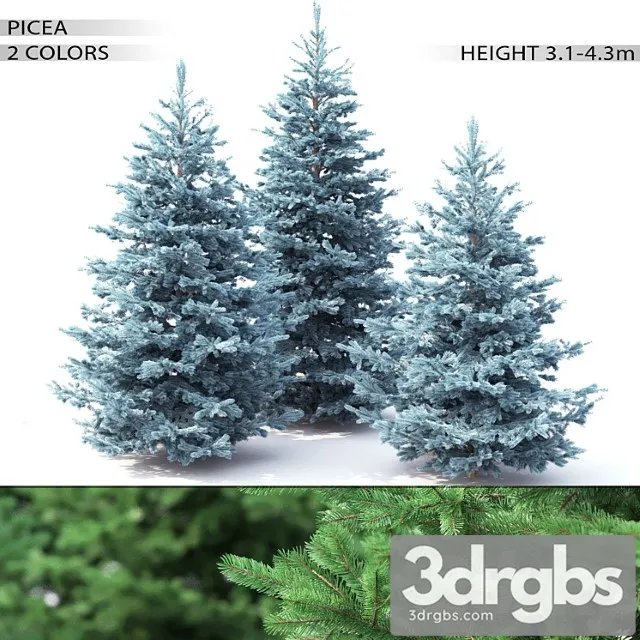 Spruce 2 3dsmax Download