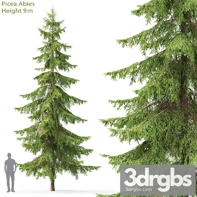 Spruce 22 3dsmax Download