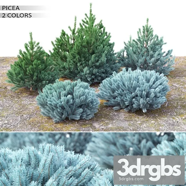 Spruce 23 3dsmax Download