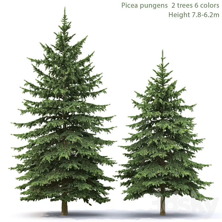 Spruce 3DS Max