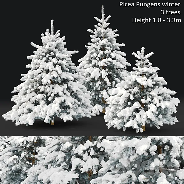 Spruce winter 3ds Max