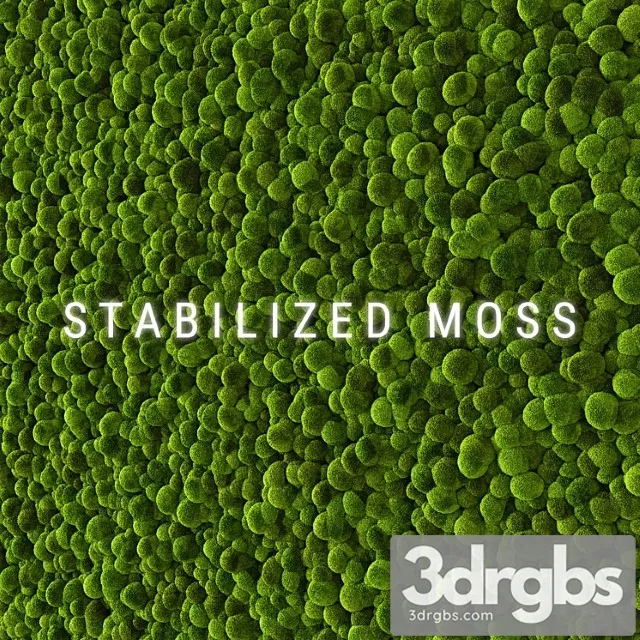 Stabilized Moss 2 3dsmax Download