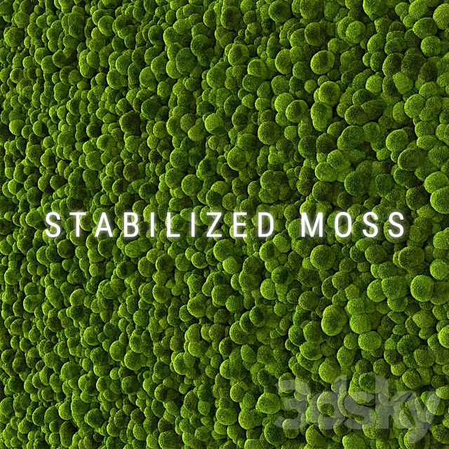 Stabilized Moss 2 3DS Max Model