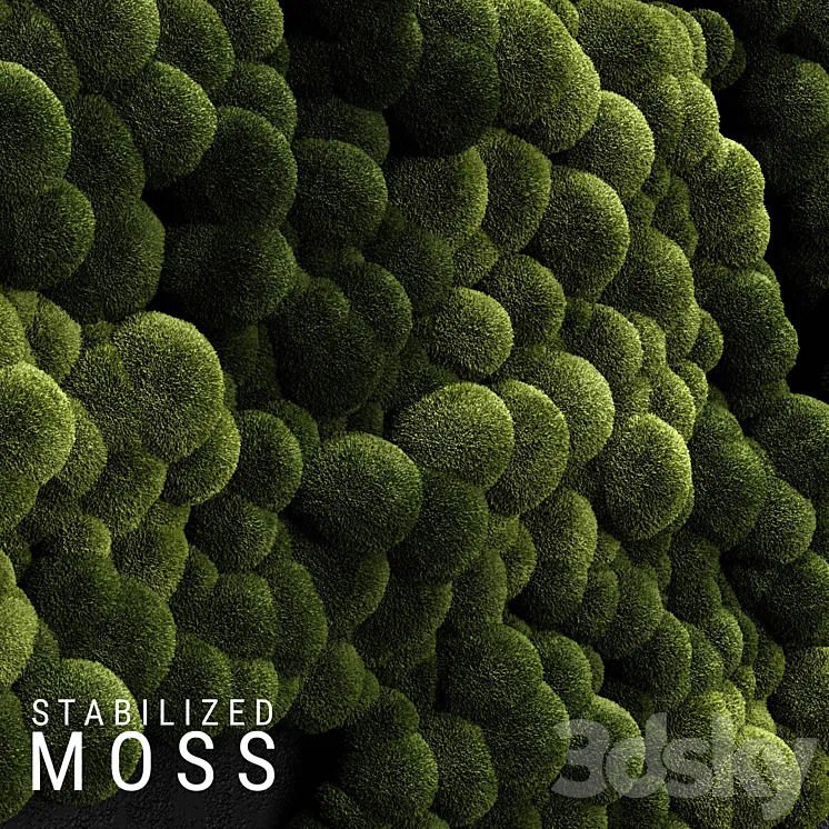 Stabilized Moss 3 3DS Max