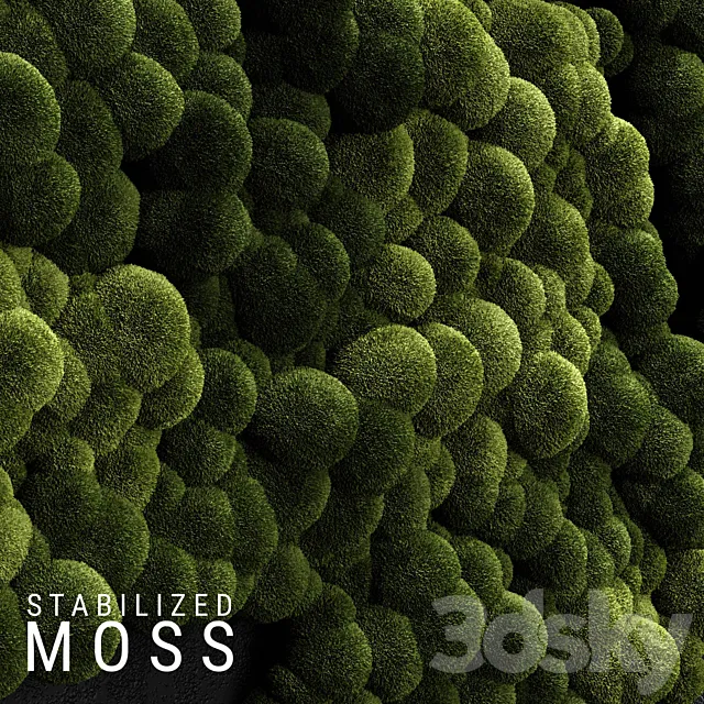 Stabilized Moss 3 3DSMax File