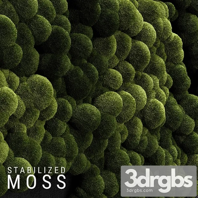 Stabilized moss 3