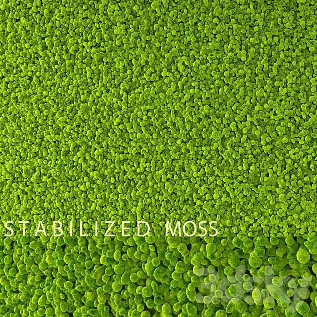 Stabilized Moss 3ds Max