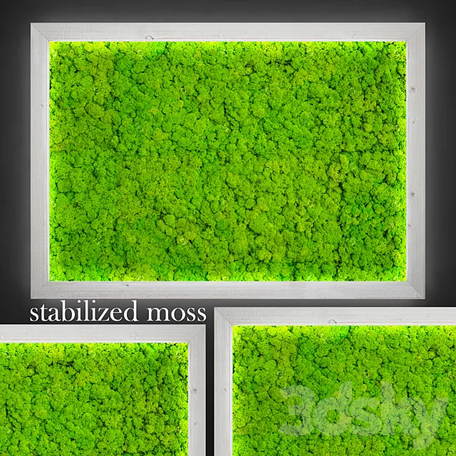 Stabilized moss. 3DSMax File