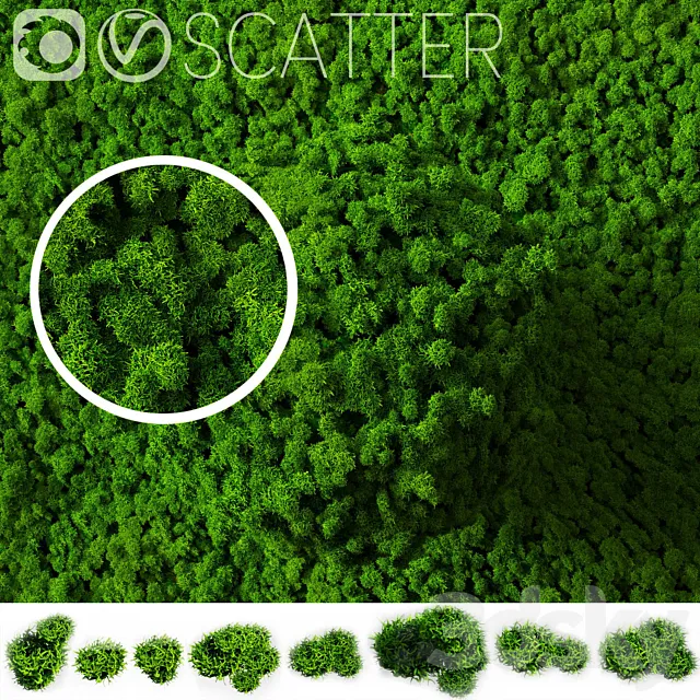 stabilized moss for scatter 3DSMax File