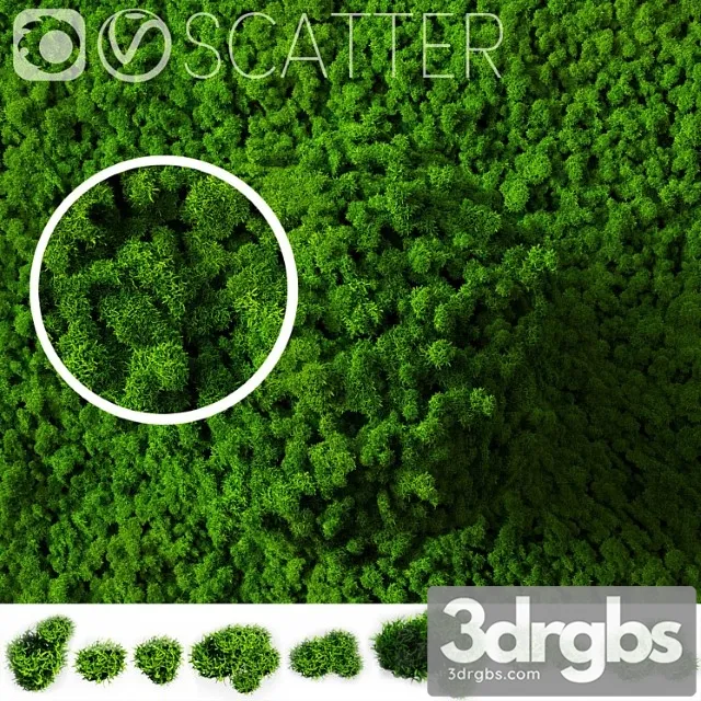 Stabilized moss for scatter