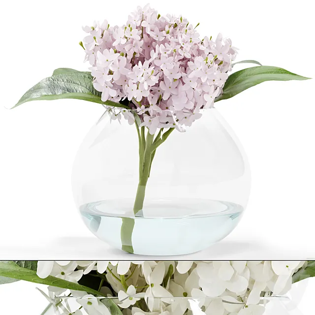 Stacy White Hydrangea Arrangement 3dsMax Model