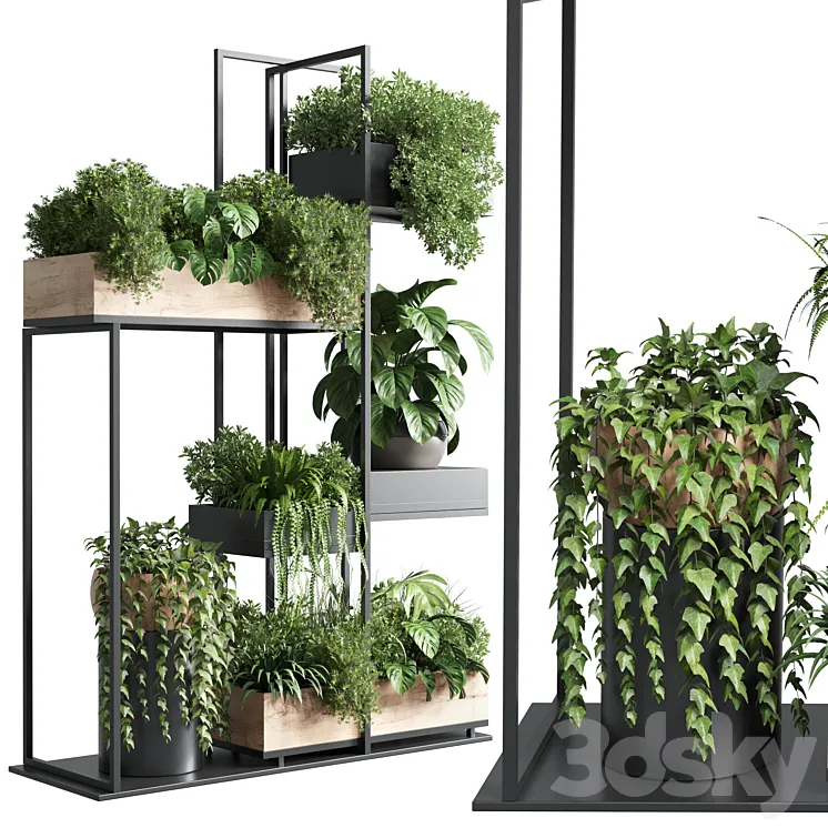 stand plant box – collection Indoor plant 217 wooden 3DS Max Model