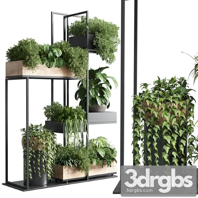 Stand plant box – collection indoor plant 217 wooden