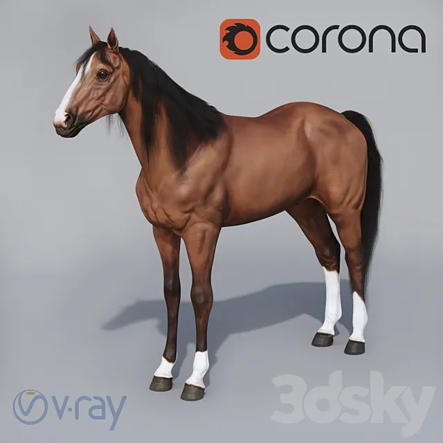 Standing horse 3DS Max Model