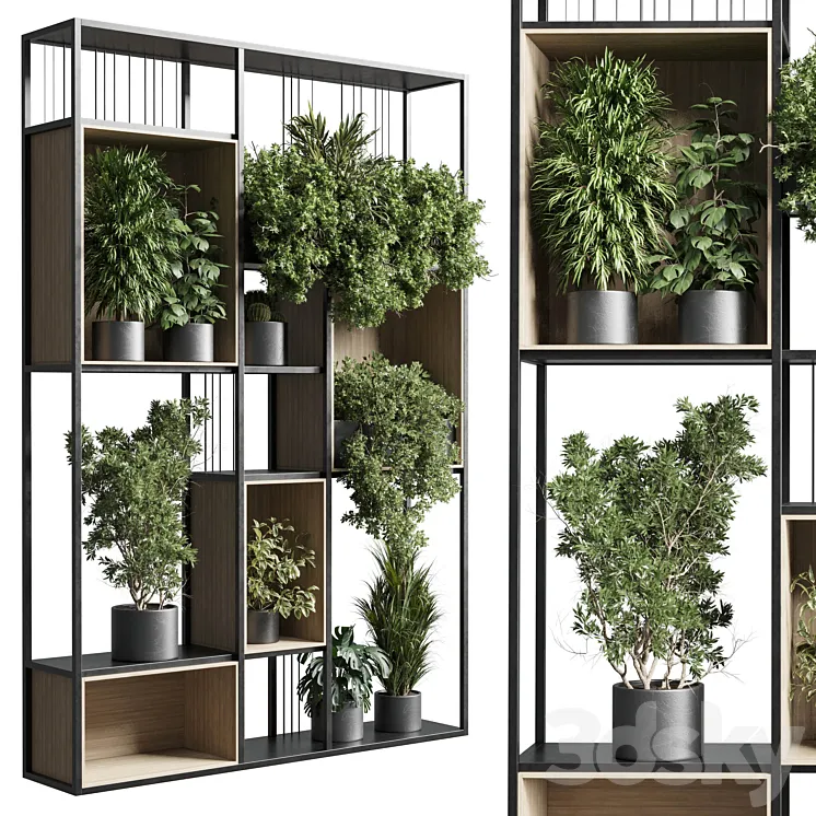 Standing metal shelf with a set 384 of plants in metal boxes corona 3DS Max