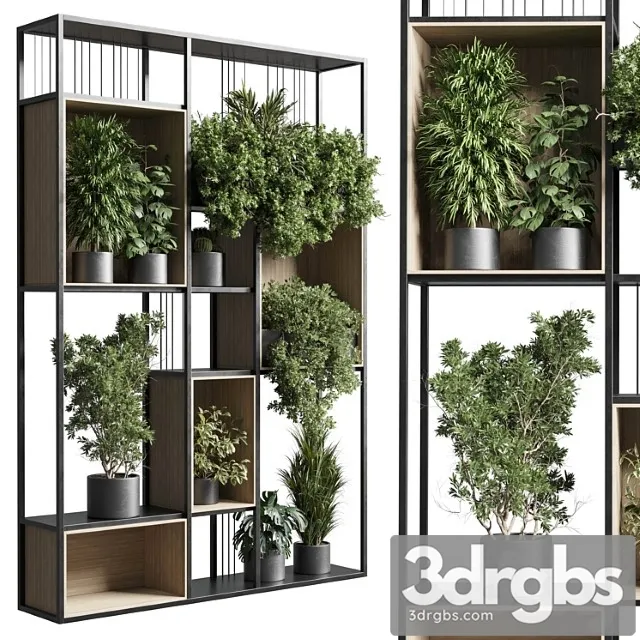 Standing metal shelf with a set 384 of plants in metal boxes corona