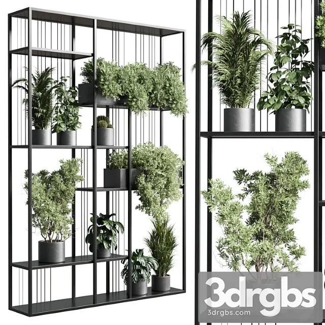 Standing Metal Shelf With A Set Of Plants In Concrete And Metal Boxes 325 3dsmax Download