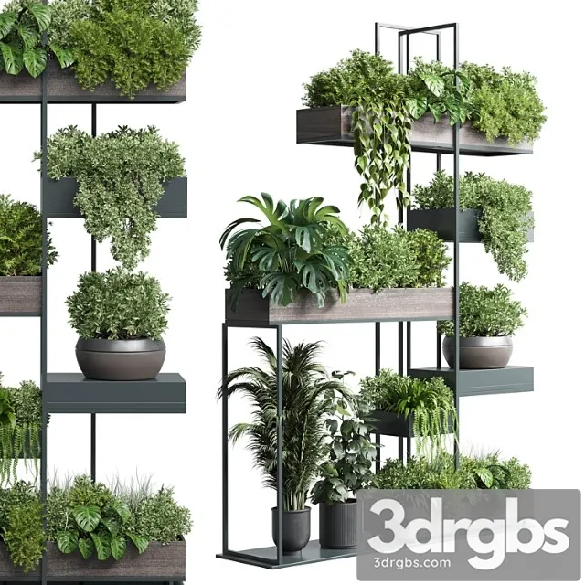 Standing metal shelf with a set of plants in wooden and metal boxes 267