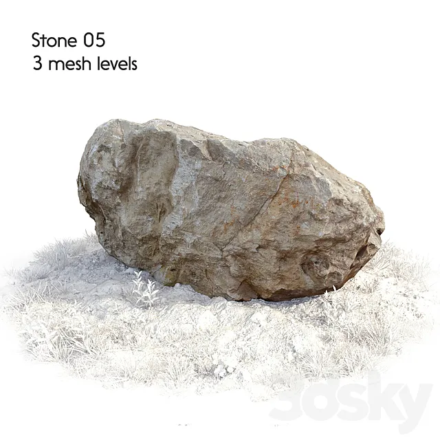 Stone 05 3ds Max