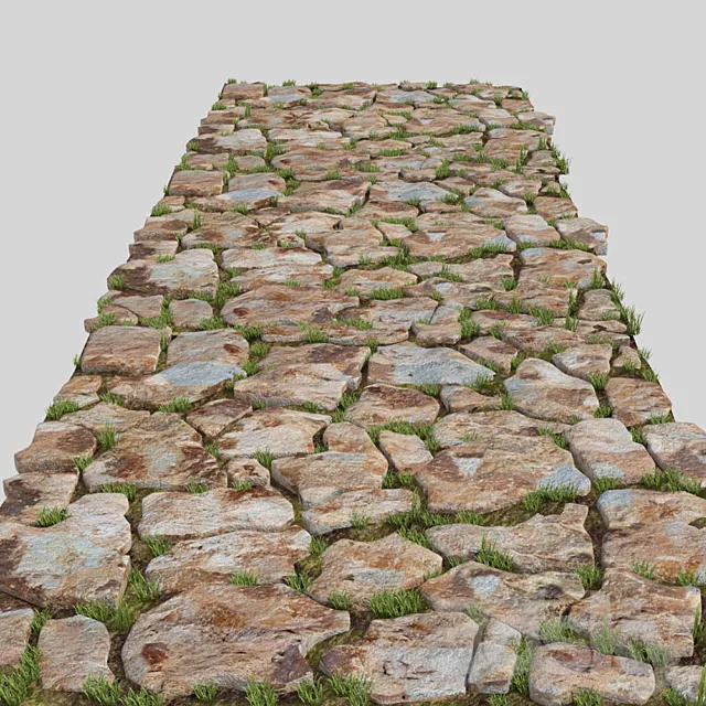 Stone-paved track 3DS Max Model