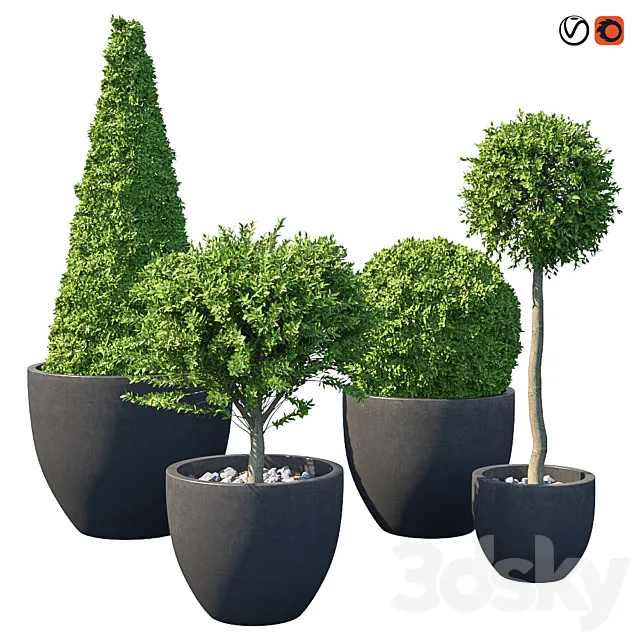 Street bushes in pots IV 3ds Max