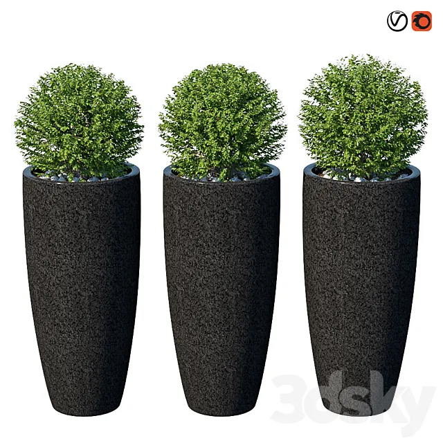 Street bushes in pots VIII 3ds Max